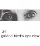 guided bird's eye view