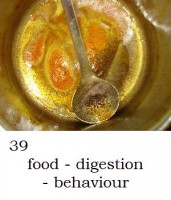 food digestion behaviour