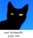 our Icelandic yule cat