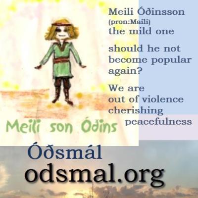 Meili Óðnsson - the mild one