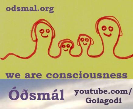 we are consciousness